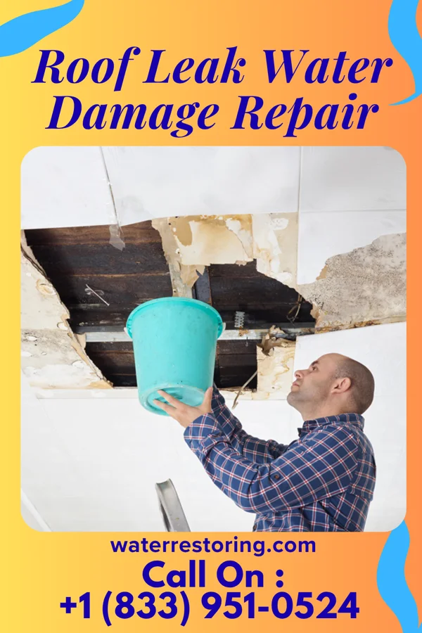 Roof Leak Water Damage Repair in Mount Hermon, NJ