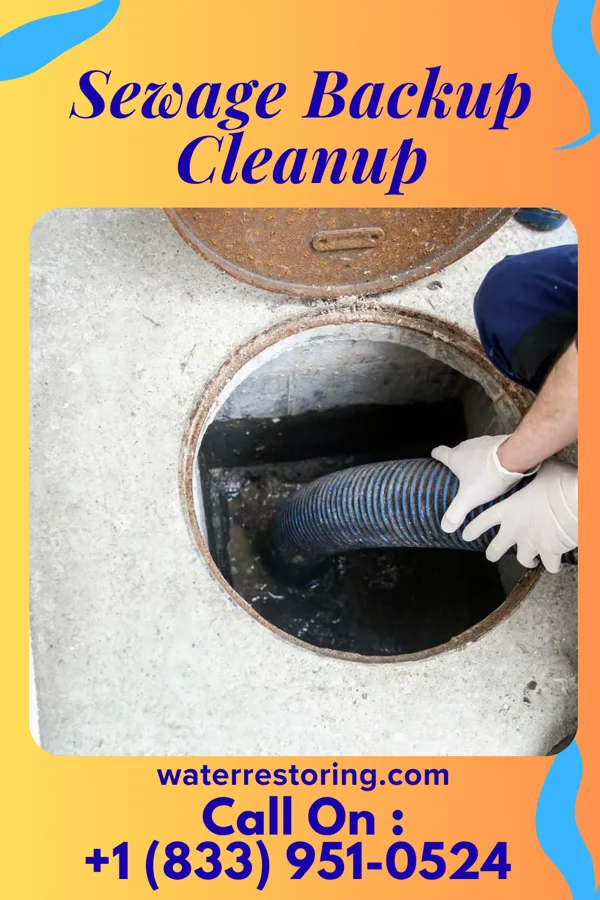 Sewage Backup Cleanup in Mount Hermon, NJ