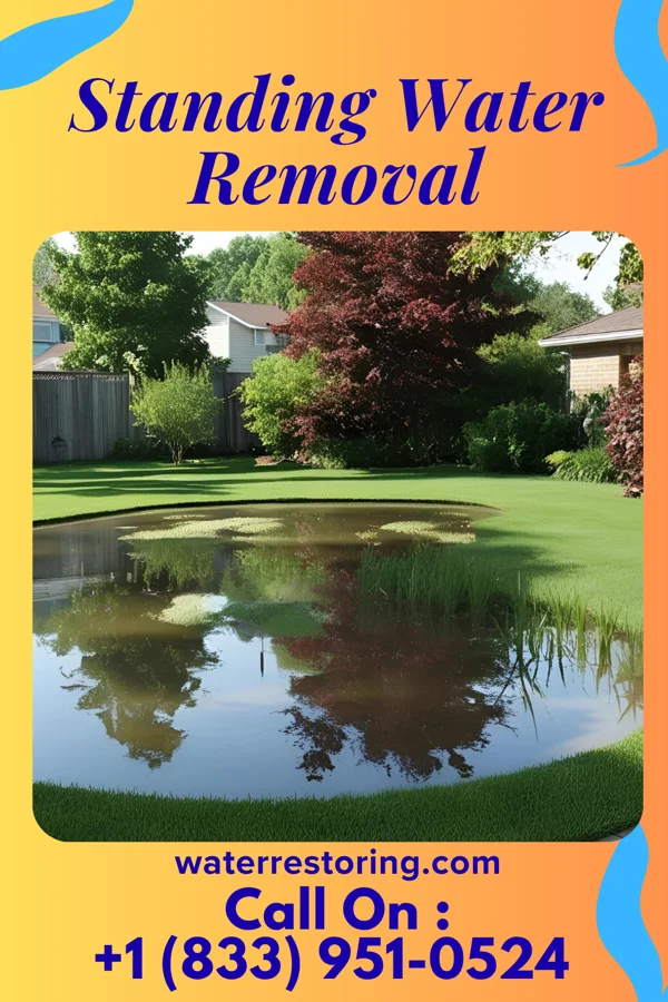 Standing Water Removal in Mount Hermon, NJ